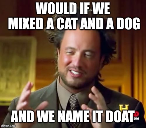 Ancient Aliens Meme | WOULD IF WE MIXED A CAT AND A DOG; AND WE NAME IT DOAT | image tagged in memes,ancient aliens | made w/ Imgflip meme maker