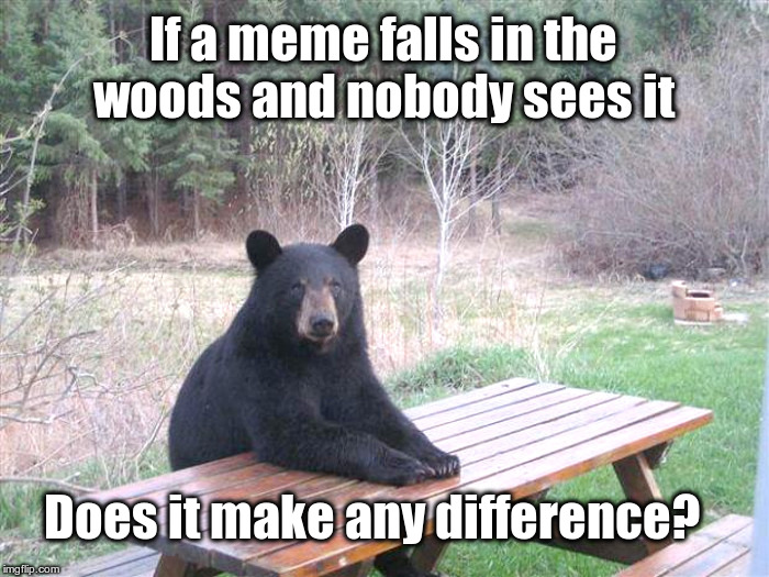 If A Meme Falls In The Woods | If a meme falls in the woods
and nobody sees it; Does it make any difference? | image tagged in bear of bad news,free the memes,make view all memes the default | made w/ Imgflip meme maker