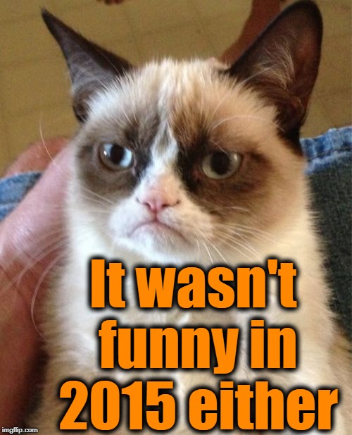 Grumpy Cat Meme | It wasn't funny in 2015 either | image tagged in memes,grumpy cat | made w/ Imgflip meme maker