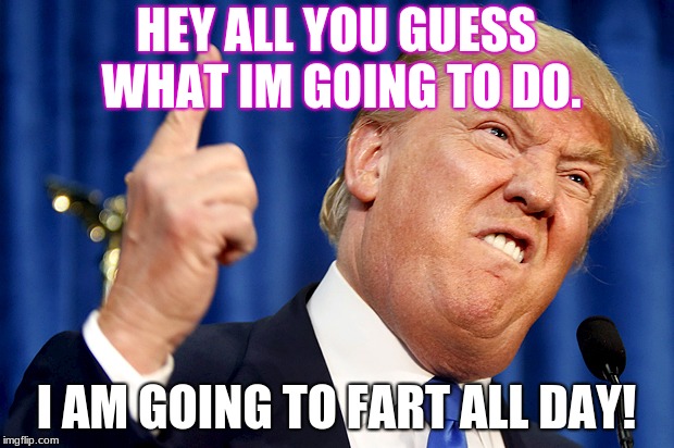 Donald Trump | HEY ALL YOU GUESS WHAT IM GOING TO DO. I AM GOING TO FART ALL DAY! | image tagged in donald trump | made w/ Imgflip meme maker