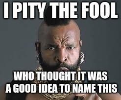 I PITY THE FOOL | I PITY THE FOOL WHO THOUGHT IT WAS A GOOD IDEA TO NAME THIS | image tagged in i pity the fool | made w/ Imgflip meme maker