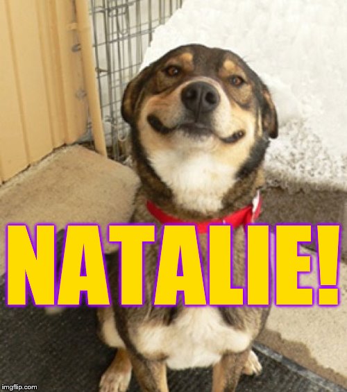 NATALIE! | image tagged in smily dog | made w/ Imgflip meme maker