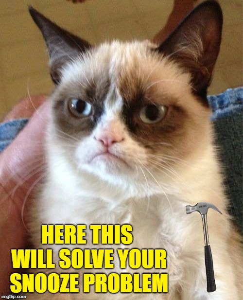 Grumpy Cat Meme | HERE THIS WILL SOLVE YOUR SNOOZE PROBLEM | image tagged in memes,grumpy cat | made w/ Imgflip meme maker