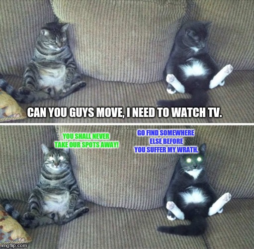 When cats are too lazy to give you a spot to sit. | CAN YOU GUYS MOVE, I NEED TO WATCH TV. GO FIND SOMEWHERE ELSE BEFORE YOU SUFFER MY WRATH. YOU SHALL NEVER TAKE OUR SPOTS AWAY! | image tagged in cat memes,funny memes | made w/ Imgflip meme maker