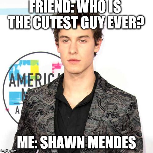 FRIEND: WHO IS THE CUTEST GUY EVER? ME: SHAWN MENDES | image tagged in shawn mendes | made w/ Imgflip meme maker