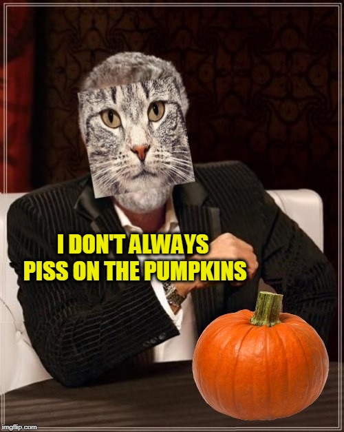I DON'T ALWAYS PISS ON THE PUMPKINS | image tagged in the most interesting cat in the world,most obviously interesting pumpkin,pumpkin,pumpkin spice,cat meme | made w/ Imgflip meme maker
