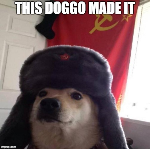 Russian Doge | THIS DOGGO MADE IT | image tagged in russian doge | made w/ Imgflip meme maker