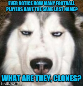 Football Sunday | EVER NOTICE HOW MANY FOOTBALL PLAYERS HAVE THE SAME LAST NAME? WHAT ARE THEY, CLONES? | image tagged in suspicious pup | made w/ Imgflip meme maker