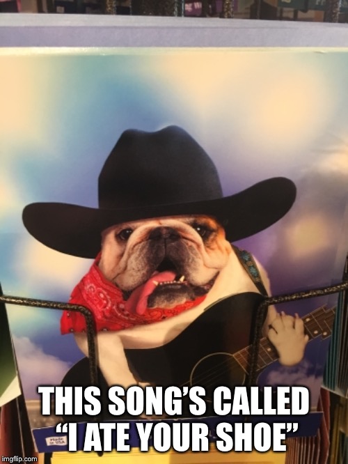 THIS SONG’S CALLED “I ATE YOUR SHOE” | image tagged in dog,doge,shoes,guitar,song,cowboys | made w/ Imgflip meme maker