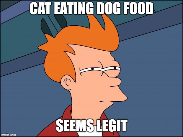 Seems legit | CAT EATING DOG FOOD; SEEMS LEGIT | image tagged in seems legit | made w/ Imgflip meme maker