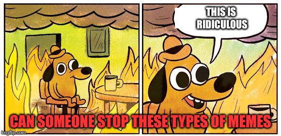 This Is Fine Meme | THIS IS RIDICULOUS CAN SOMEONE STOP THESE TYPES OF MEMES | image tagged in this is fine dog | made w/ Imgflip meme maker