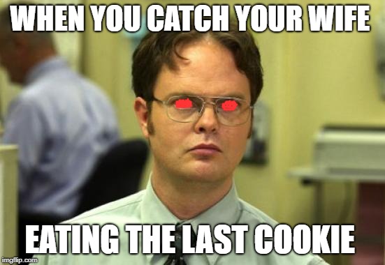 Dwight Schrute | WHEN YOU CATCH YOUR WIFE; EATING THE LAST COOKIE | image tagged in memes,dwight schrute | made w/ Imgflip meme maker