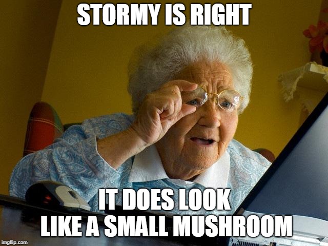 Grandma Finds The Internet Meme | STORMY IS RIGHT; IT DOES LOOK LIKE A SMALL MUSHROOM | image tagged in memes,grandma finds the internet | made w/ Imgflip meme maker