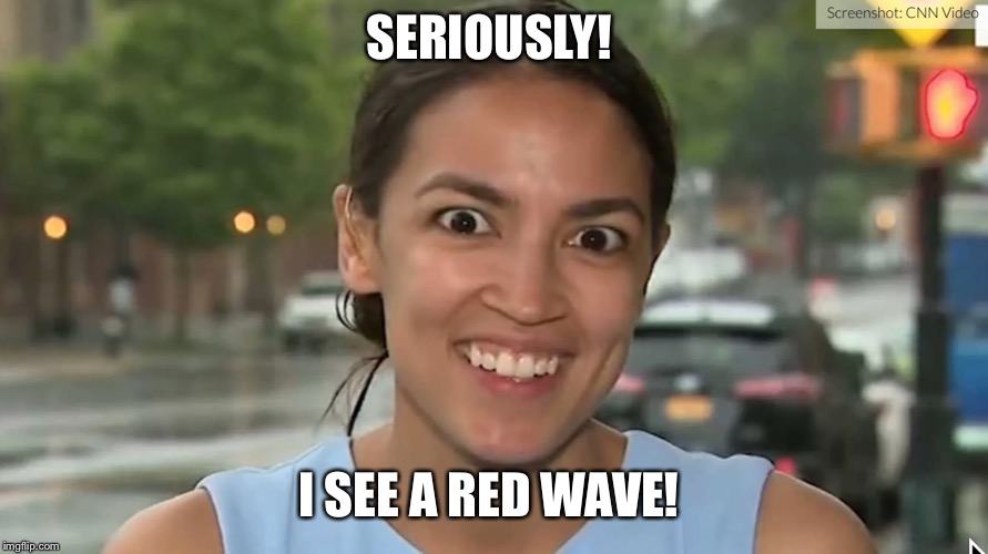 Alexandria Ocasio-Cortez | SERIOUSLY! I SEE A RED WAVE! | image tagged in alexandria ocasio-cortez | made w/ Imgflip meme maker