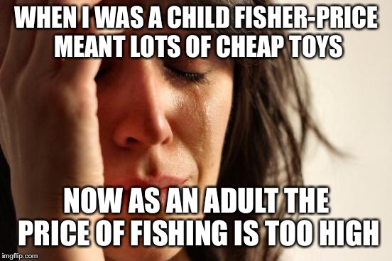 First World Problems Meme | WHEN I WAS A CHILD FISHER-PRICE MEANT LOTS OF CHEAP TOYS; NOW AS AN ADULT THE PRICE OF FISHING IS TOO HIGH | image tagged in memes,first world problems | made w/ Imgflip meme maker