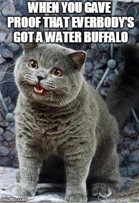 I can has cheezburger cat | WHEN YOU GAVE PROOF THAT EVERBODY'S GOT A WATER BUFFALO | image tagged in i can has cheezburger cat,veggietales,cats,water,buffalo | made w/ Imgflip meme maker