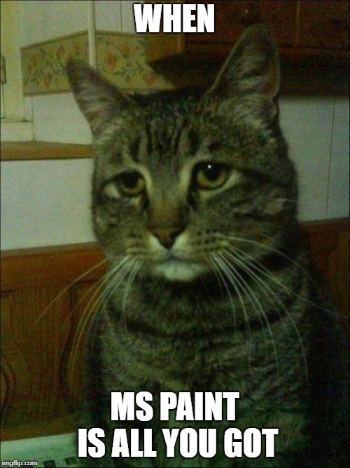 Depressed Cat Meme | WHEN MS PAINT IS ALL YOU GOT | image tagged in memes,depressed cat | made w/ Imgflip meme maker