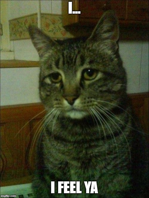Depressed Cat Meme | I... I FEEL YA | image tagged in memes,depressed cat | made w/ Imgflip meme maker