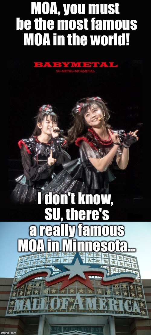 The most famous MOA? | MOA, you must be the most famous MOA in the world! I don't know, SU, there's a really famous MOA in Minnesota... | image tagged in babymetal,moa | made w/ Imgflip meme maker