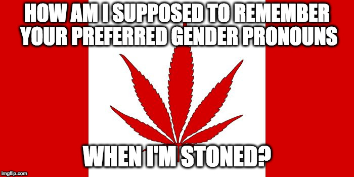 Canada Cannabis Flag |  HOW AM I SUPPOSED TO REMEMBER YOUR PREFERRED GENDER PRONOUNS; WHEN I'M STONED? | image tagged in canada cannabis flag | made w/ Imgflip meme maker