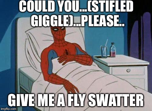 Spiderman Hospital Meme | COULD YOU...(STIFLED GIGGLE)...PLEASE.. GIVE ME A FLY SWATTER | image tagged in memes,spiderman hospital,spiderman | made w/ Imgflip meme maker