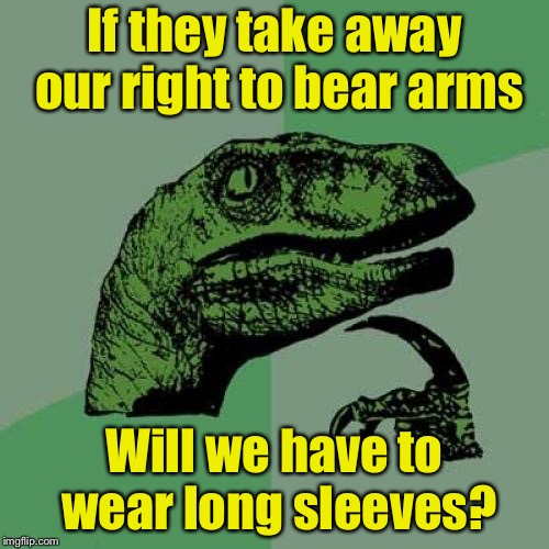 Philosoraptor Meme | If they take away our right to bear arms; Will we have to wear long sleeves? | image tagged in memes,philosoraptor | made w/ Imgflip meme maker