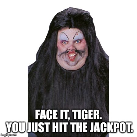 FACE IT, TIGER. YOU JUST HIT THE JACKPOT. | image tagged in funny | made w/ Imgflip meme maker