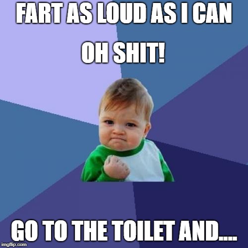 Fart False Alarm | FART AS LOUD AS I CAN; OH SHIT! GO TO THE TOILET AND.... | image tagged in memes,success kid | made w/ Imgflip meme maker