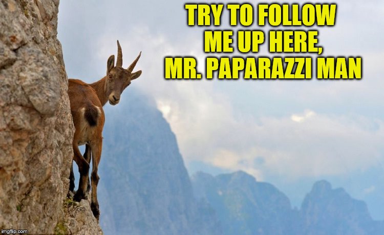 TRY TO FOLLOW ME UP HERE, MR. PAPARAZZI MAN | made w/ Imgflip meme maker