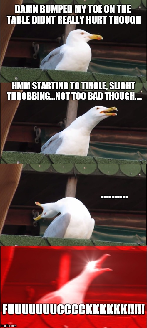 Inhaling Seagull Meme | DAMN BUMPED MY TOE ON THE TABLE DIDNT REALLY HURT THOUGH; HMM STARTING TO TINGLE, SLIGHT THROBBING...NOT TOO BAD THOUGH.... .......... FUUUUUUUCCCCKKKKKK!!!!! | image tagged in memes,inhaling seagull | made w/ Imgflip meme maker