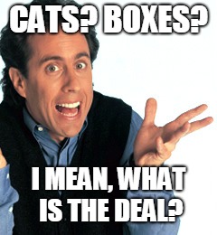 Jerry Seinfeld What's the Deal | CATS? BOXES? I MEAN, WHAT IS THE DEAL? | image tagged in jerry seinfeld what's the deal | made w/ Imgflip meme maker