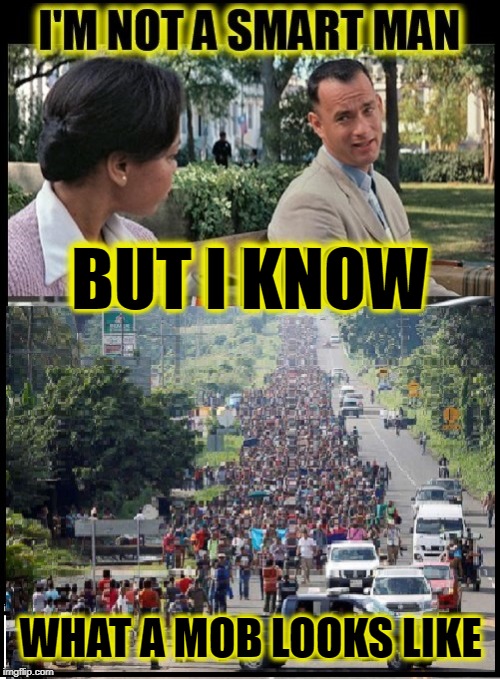 BUT I KNOW; WHAT A MOB LOOKS LIKE | image tagged in forest gump,angry mob,secure the border,build a wall,trump 2020 | made w/ Imgflip meme maker