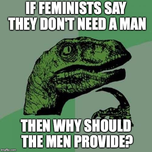 Philosoraptor | IF FEMINISTS SAY THEY DON'T NEED A MAN; THEN WHY SHOULD THE MEN PROVIDE? | image tagged in memes,philosoraptor | made w/ Imgflip meme maker
