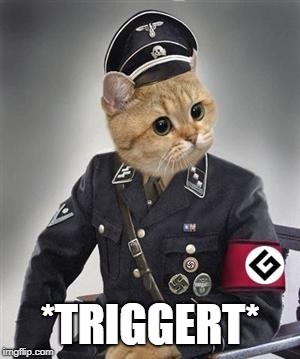 Grammar Nazi Cat | *TRIGGERT* | image tagged in grammar nazi cat | made w/ Imgflip meme maker