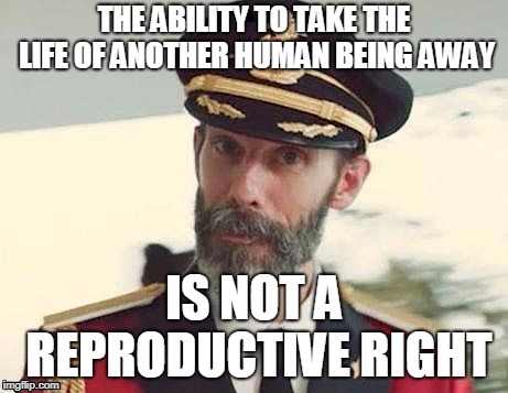 Just call it what it is | THE ABILITY TO TAKE THE LIFE OF ANOTHER HUMAN BEING AWAY; IS NOT A REPRODUCTIVE RIGHT | image tagged in captain obvious,memes,abortion is bad mmkay,politics,abortion | made w/ Imgflip meme maker