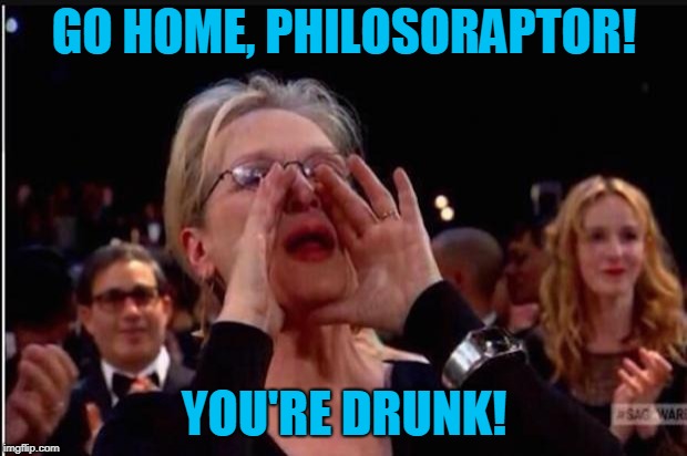 meryl streep | GO HOME, PHILOSORAPTOR! YOU'RE DRUNK! | image tagged in meryl streep | made w/ Imgflip meme maker