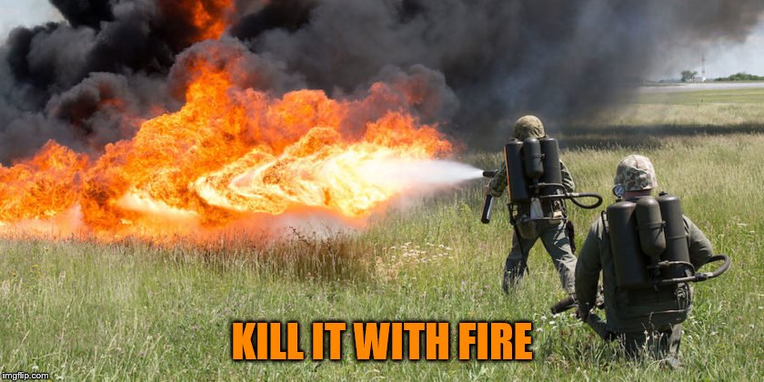 KILL IT WITH FIRE | made w/ Imgflip meme maker