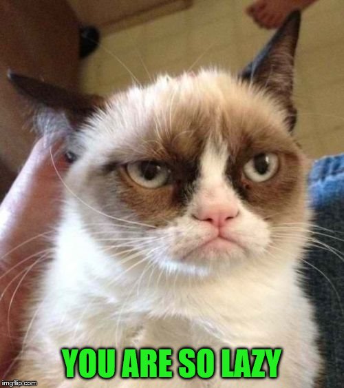 Grumpy Cat Reverse Meme | YOU ARE SO LAZY | image tagged in memes,grumpy cat reverse,grumpy cat | made w/ Imgflip meme maker