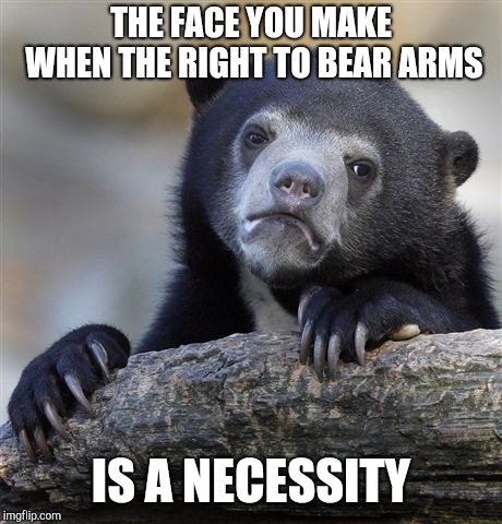 Confession Bear Meme | THE FACE YOU MAKE WHEN THE RIGHT TO BEAR ARMS IS A NECESSITY | image tagged in memes,confession bear | made w/ Imgflip meme maker