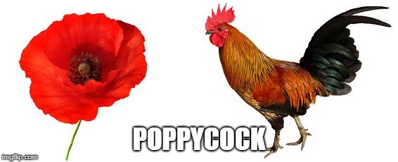Poppycock! | POPPYCOCK | image tagged in poppycock,rubbish,crap | made w/ Imgflip meme maker