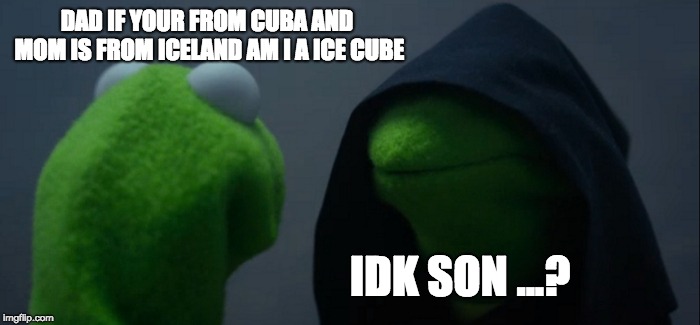 Evil Kermit | DAD IF YOUR FROM CUBA AND MOM IS FROM ICELAND AM I A ICE CUBE; IDK SON ...? | image tagged in memes,evil kermit | made w/ Imgflip meme maker