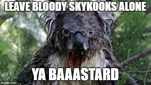 Angry Koala Meme | LEAVE BLOODY SKYKOOKS ALONE YA BAAASTARD | image tagged in memes,angry koala | made w/ Imgflip meme maker
