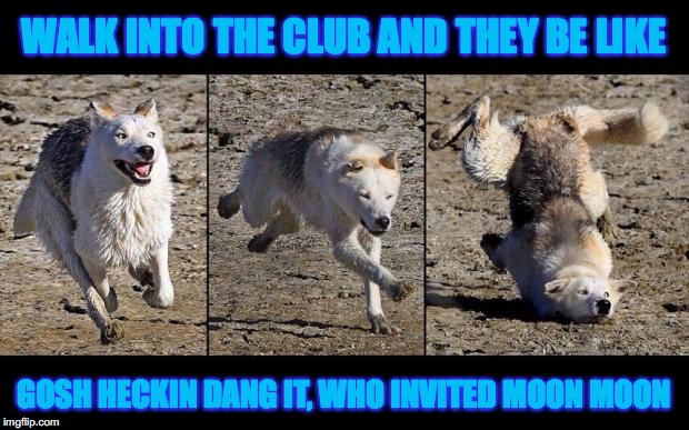DANG IT WHO INVITED MOON MOON | WALK INTO THE CLUB AND THEY BE LIKE; GOSH HECKIN DANG IT, WHO INVITED MOON MOON | image tagged in moon moon,walk into the club like,heck | made w/ Imgflip meme maker