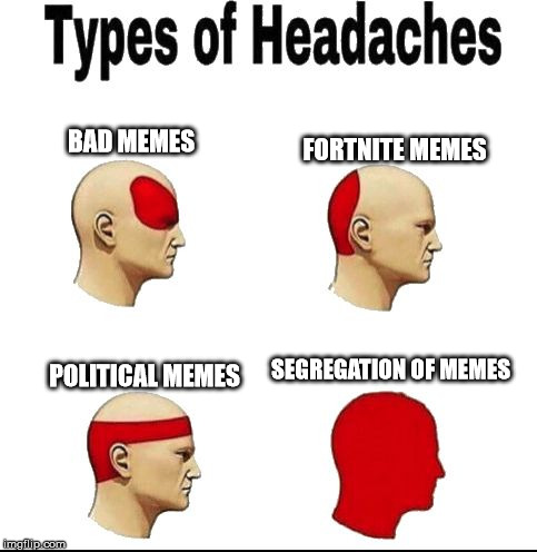 FORTNITE MEMES; BAD MEMES; SEGREGATION OF MEMES; POLITICAL MEMES | image tagged in typesofheadachesblank | made w/ Imgflip meme maker