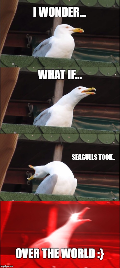 Inhaling Seagull | I WONDER... WHAT IF... SEAGULLS TOOK.. OVER THE WORLD :} | image tagged in memes,inhaling seagull | made w/ Imgflip meme maker