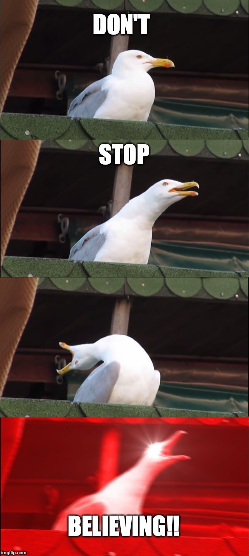 Inhaling Seagull | DON'T; STOP; BELIEVING!! | image tagged in memes,inhaling seagull | made w/ Imgflip meme maker