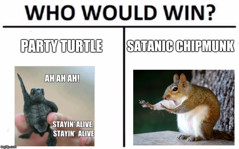 who would win? | PARTY TURTLE; SATANIC CHIPMUNK | image tagged in memes,who would win | made w/ Imgflip meme maker