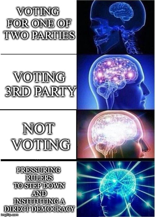 Hey, I've an idea | VOTING FOR ONE OF TWO PARTIES; VOTING 3RD PARTY; PRESSURING RULERS TO STEP DOWN AND INSTITUTING A DIRECT DEMOCRACY; NOT VOTING | image tagged in expanding mind,two parties,3rd party,not voting,peaceful revolution,direct democracy | made w/ Imgflip meme maker