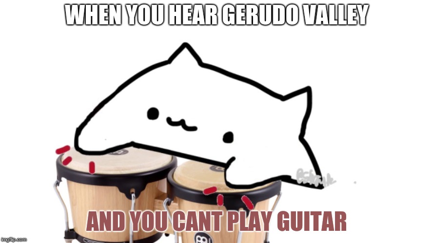Bongo Cat | WHEN YOU HEAR GERUDO VALLEY; AND YOU CANT PLAY GUITAR | image tagged in bongo cat | made w/ Imgflip meme maker