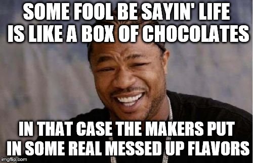 Ain't No Box Of Chocolates | SOME FOOL BE SAYIN' LIFE IS LIKE A BOX OF CHOCOLATES; IN THAT CASE THE MAKERS PUT IN SOME REAL MESSED UP FLAVORS | image tagged in yo dawg heard you,memes,food for thought | made w/ Imgflip meme maker